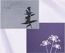 弔電_布貼り電報(銀・黒 箔押し)一覧へ